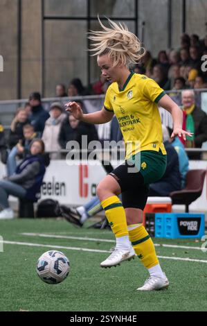 Heerlen, Niederlande. März 2025. Heerlen, Niederlande, 01. März 2025: ISA Dekker (11 Fortuna Sittard Vrouwen) kontrolliert den Ball während des Azerion Vrouwen Eredivisie Spiels zwischen Fortuna Sittard Vrouwen und Ajax Vrouwen im Sportpark Pronsebroek in Heerlen (Niederlande) (Martin Pitsch/SPP). /Alamy Live News Stockfoto