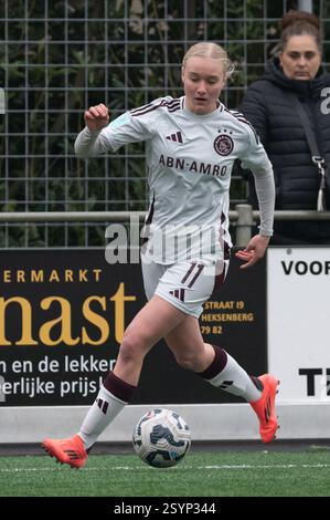 Heerlen, Niederlande. März 2025. Heerlen, Niederlande, 01. März 2025: Bo Van Egmond (11 Ajax) kontrolliert den Ball während des Azerion Vrouwen Eredivisie-Spiels zwischen Fortuna Sittard Vrouwen und Ajax Vrouwen im Sportpark Pronsebroek in Heerlen (Niederlande) (Martin Pitsch/SPP) Credit: SPP Sport Press Photo. /Alamy Live News Stockfoto