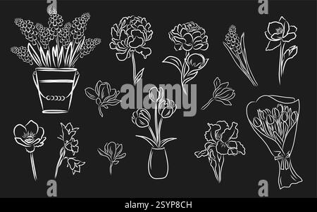 Doodle elegante Frühlingsblumen Set. Vektor Hand gezeichnetes Design von Magnolie, Pfingstrose, Muscari Blumen, Tulpen. Stock Vektor