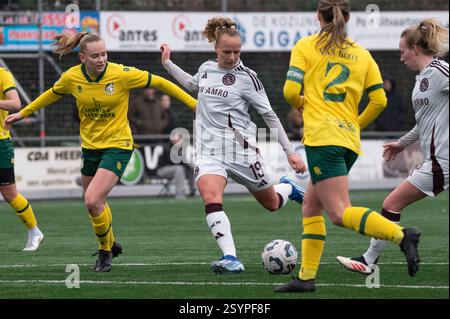 Heerlen, Niederlande. März 2025. Heerlen, Niederlande, 01. März 2025: Tiny Hoekstra (19 Ajax) schießt den Ball während des Azerion Vrouwen Eredivisie-Spiels zwischen Fortuna Sittard Vrouwen und Ajax Vrouwen im Sportpark Pronsebroek in Heerlen, Niederlande (Martin Pitsch/SPP) Credit: SPP Sport Press Photo. /Alamy Live News Stockfoto