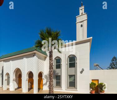 Ruhige Moschee mit einer weiß getünchten Fassade, verziert mit komplizierten Mustern und einem riesigen Minarett vor der Kulisse eines klaren blauen Himmels. Palmen fra Stockfoto