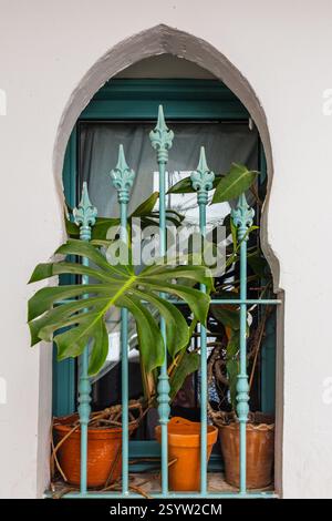 Das von einer gebogenen Nische eingerahmte Fenster ist mit Topfpflanzen geschmückt, die über den Rand fließen, und mit dekorativen schmiedeeisernen Stäben, die ein bezauberndes A schaffen Stockfoto
