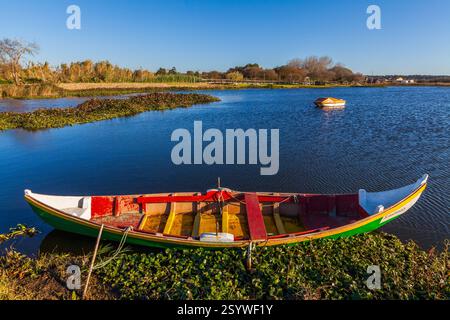 Ein farbenfrohes hölzernes Ruderboot ruht auf dem grasbewachsenen Ufer eines ruhigen Sees unter einem klaren blauen Himmel Stockfoto