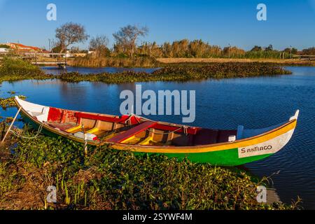 Ein farbenfrohes hölzernes Ruderboot ruht auf dem grasbewachsenen Ufer eines ruhigen Sees unter einem klaren blauen Himmel Stockfoto