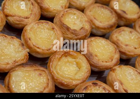 Portugiesische Pustard Tarts Pastel de Nata oder de Belem. Eine Nahaufnahme traditioneller portugiesischer Pudding-Gebäck, bestehend aus Pudding in einer Creme Brulee Stockfoto