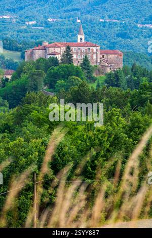 Lavendelfelder in der Umgebung von Sale San Giovanni, Piemont, Italien. Stockfoto