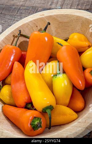 Frische süße rote, gelbe und orangene Mini-Paprika. Gesunde Rohkost in Holzschüssel Stockfoto