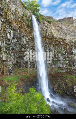 Die hohen Perrine Coulle Falls in Idaho. Stockfoto