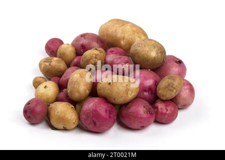 Rote und gelbe Babykartoffeln auf weißem Hintergrund. Stockfoto