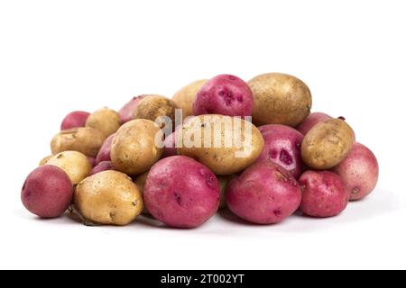 Rote und gelbe Kartoffeln stapeln sich zusammen. Stockfoto