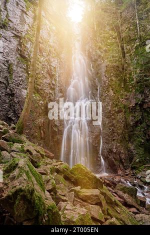 Der Burgbacher Wasserfall im Nadelwald fällt über Granitfelsen in das Tal bei Bad Rippoldsau-Schapbach, Schwarzwald, GE Stockfoto