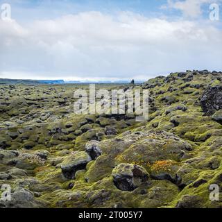 Malerische grüne Lavafelder im Herbst in der Nähe des Fjadrargljufur Canyon in Island. Grünes Moos auf vulkanischen Lavasteinen. Einzigartige Lavafelder Stockfoto