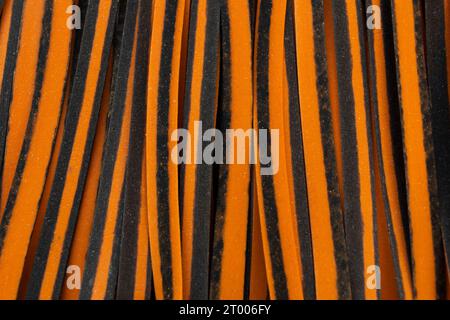 Großaufnahme Italienische Pasta Mit Pappardelle In Schwarz Und Orange, Frisches Weizenprodukt, Hintergrund Und Textur. Draufsicht. Ei Dry Ribbon Nudeln, Lang Gerollt Stockfoto