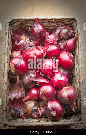 Frische rote Zwiebeln in einem Korb. Stockfoto