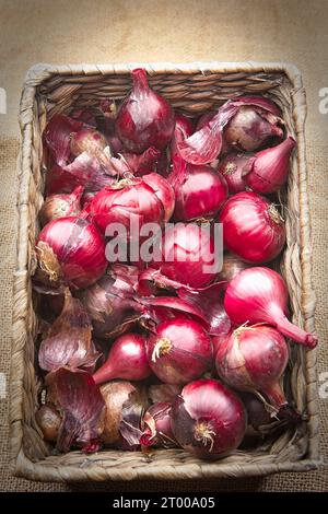 Rote Zwiebeln in einem Korb. Stockfoto