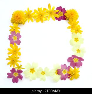 Symbole, Buchstaben aus frisch geerntetem Gelb, Orange, Blumen. Für Geburtstagsfeiern, Hochzeitstage, Hochzeitsfeiern und Firmenveranstaltungen, Rahmen Stockfoto