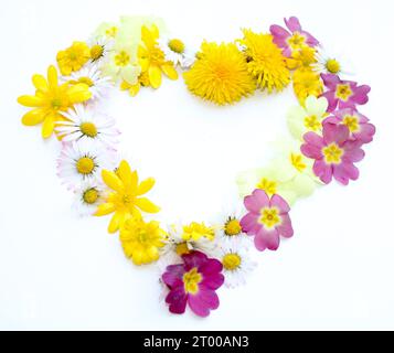 Symbole, Buchstaben aus frisch geerntetem Gelb, Orange, Blumen. Für Geburtstagsfeiern, Hochzeitstage, Hochzeitsfeiern und Firmenveranstaltungen, Heart Stockfoto