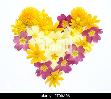 Symbole, Buchstaben aus frisch geerntetem Gelb, Orange, Blumen. Für Geburtstagsfeiern, Hochzeitstage, Hochzeitsfeiern und Firmenveranstaltungen, Heart Stockfoto