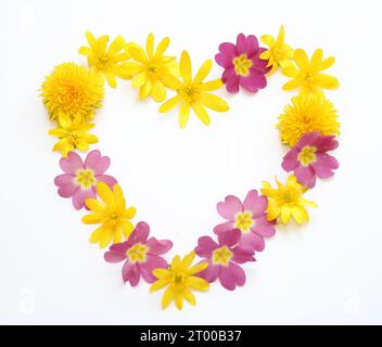 Symbole, Buchstaben aus frisch geerntetem Gelb, Orange, Blumen. Für Geburtstagsfeiern, Hochzeitstage, Hochzeitsfeiern und Firmenveranstaltungen, Heart Stockfoto