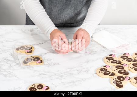 Panda-förmige Shortbread-Kekse mit Schokoladenglasur Stockfoto