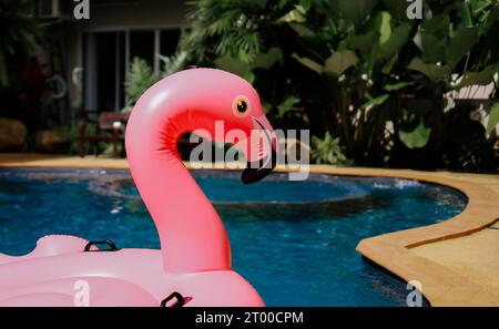 Sommerferien lustig lustiger rosa Flamingo schweben in einem Swimmingpool trendiges Sommerkonzept Stockfoto