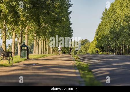 Woodberry Down Wetlands Local Area Photography – London UK Stockfoto