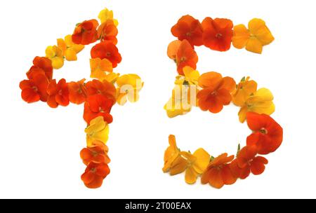 Nummer aus frisch gepflückten gelben, orangen, roten, Blumen. Isoliert auf weißem Hintergrund für Geburtstagsfeier, Jahrestag, fünfundvierzig, 45, 4, 5 Stockfoto