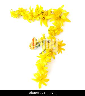Nummer aus frisch gepflückten gelben, orangen, Blumen. Isoliert auf weißem Hintergrund für Geburtstagsfeier, Jahrestag, 7, 77, 70, sieben, siebzig Stockfoto
