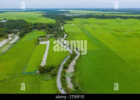 Luftaufnahme eines grünen Reisfeldes nach dem Zyklon Bulbul bei Dacope in Khulna, Bangladesch. Stockfoto