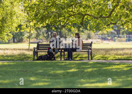 Woodberry Down Wetlands Local Area Photography – London UK Stockfoto