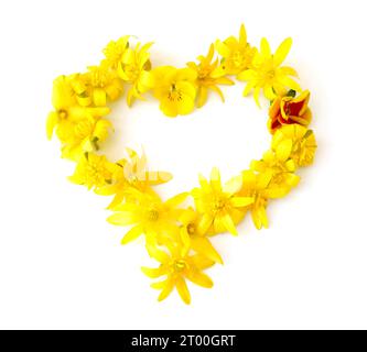 Symbole, Buchstaben aus frisch geerntetem Gelb, Orange, Blumen. Für Geburtstagsfeiern, Hochzeitstage, Hochzeitsfeiern und Firmenveranstaltungen, Heart Stockfoto