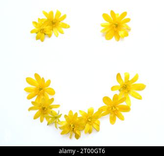 Symbole, Buchstaben aus frisch geerntetem Gelb, Orange, Blumen. Für Geburtstagsfeiern, Hochzeiten, Firmenveranstaltungen, Smiley Stockfoto