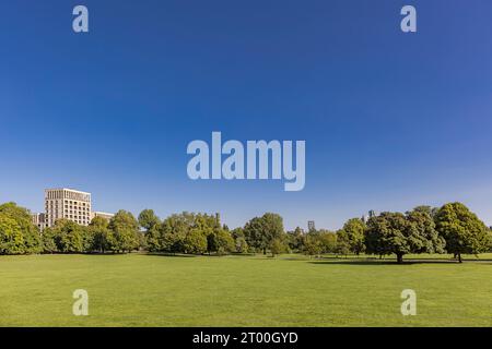 Woodberry Down Wetlands Local Area Photography – London UK Stockfoto