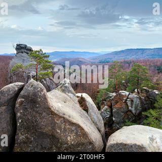 Große hohe Steine im Herbstwald (Skeli Dovbusha, Region Iwano-Frankowsk, Ukraine) Stockfoto