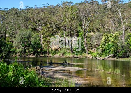 Der Hacking River am Currawong Flat, Royal National Park, New South Wales, Australien Stockfoto
