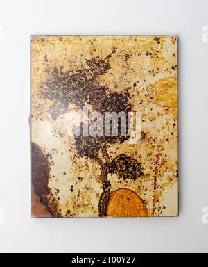 Trinity von Andrej Rublev an Antology, von Wzdornow, G.I., und Komech, A.I., erstmals 1981 in der UdSSR veröffentlicht. Stockfoto