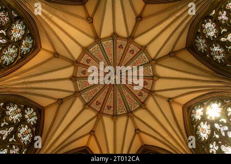 Die Decke des York Minster Chapter House, York, North Yorkshire, England, Großbritannien. Stockfoto