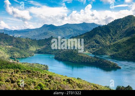 Malerischer Blick auf Wasserfall und Mistletoe Buchten in Queen Charlotte Sound, Marlborough Region, Nordinsel, Neuseeland, an einem sonnigen Sommertag Stockfoto