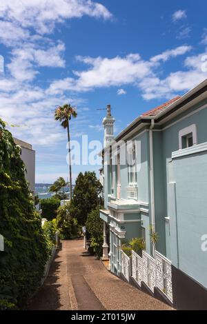 Ein Fußweg, der die Seite eines Luxushauses in Rose Bay, Sydney, hinunterführt. Stockfoto