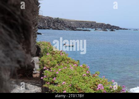 Friedlicher Blick aufs Meer, Wanderpromenade Alcala Tenerfie, mit einem kleinen Boot und einigen wunderschönen rosa Blumen Stockfoto