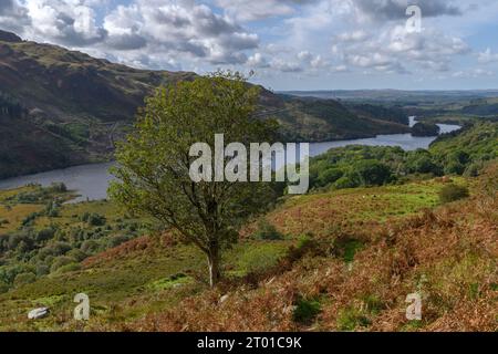 Loch Trool vom Pfad zum Gairland Burn, Glentrool, Dumfries und Galloway Scotland. Stockfoto