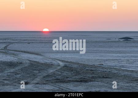Ein Blick auf den Sonnenaufgang auf die Makgadikgadi-Pfanne von der Insel Kubu in Botswana Stockfoto