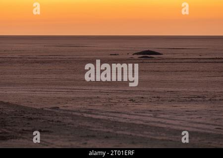 Ein Blick auf den Sonnenaufgang auf die Makgadikgadi-Pfanne von der Insel Kubu in Botswana Stockfoto