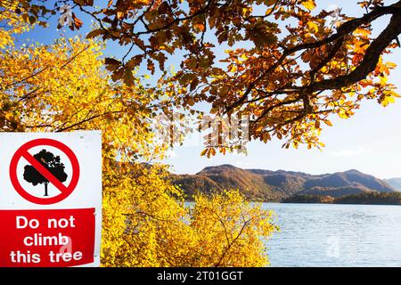 Die Ufer des Derwent Water in der Nähe von Keswick, Lake District, Großbritannien. Stockfoto