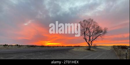 Sonnenuntergang entlang der US 90 in der Nähe von Marfa, Texas. Ein einziger Baum steht neben der Autobahn in einer rauen Umgebung. Stockfoto