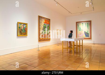 Raum mit Gemälden und anderen Werken des Künstlers zum Thema „Fauvismus wiederbelebt“ im Galeriebau Musee Matisse in Nizza, Frankreich. (135) Stockfoto