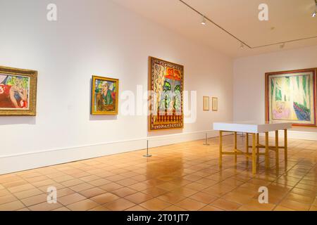 Raum mit Gemälden und anderen Werken des Künstlers zum Thema „Fauvismus wiederbelebt“ im Galeriebau Musee Matisse in Nizza, Frankreich. (135) Stockfoto