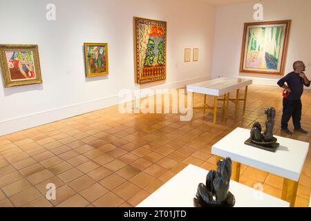 Raum mit Gemälden und anderen Werken des Künstlers zum Thema „Fauvismus wiederbelebt“ im Galeriebau Musee Matisse in Nizza, Frankreich. (135) Stockfoto