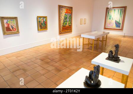 Raum mit Gemälden und anderen Werken des Künstlers zum Thema „Fauvismus wiederbelebt“ im Galeriebau Musee Matisse in Nizza, Frankreich. (135) Stockfoto