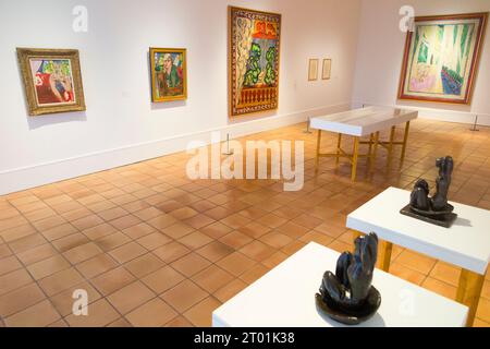 Raum mit Gemälden und anderen Werken des Künstlers zum Thema „Fauvismus wiederbelebt“ im Galeriebau Musee Matisse in Nizza, Frankreich. (135) Stockfoto